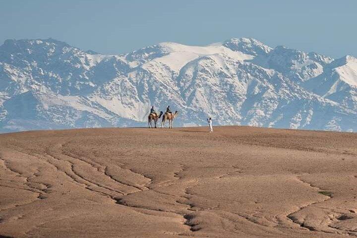 Atlas Mountains and Agafay Desert Day Trip with Camel Ride