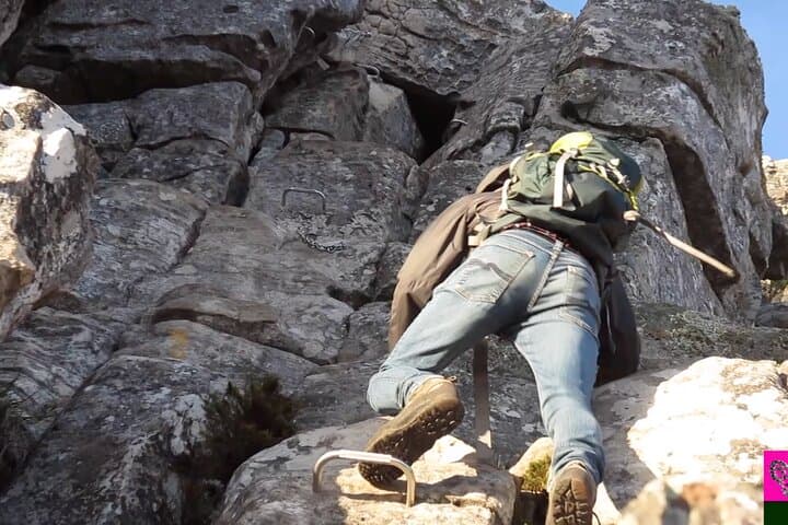 HIKE Cape Town-South Africa With a Private Guide