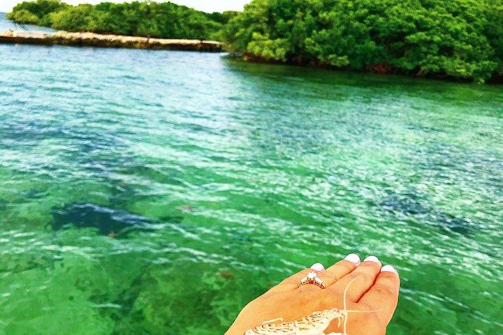 マイアミ発フロリダ キー プライベート アイランズ限定日帰り旅行 (アクティビティ付き)