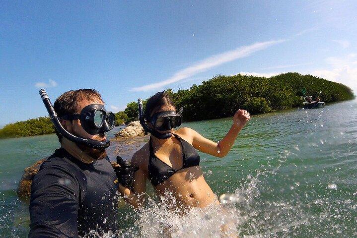 マイアミ発フロリダ キー プライベート アイランズ限定日帰り旅行 (アクティビティ付き)
