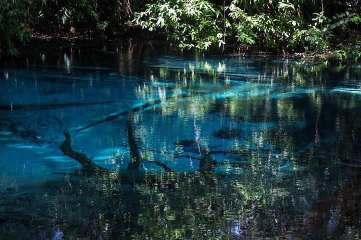 クラビ：虎の洞窟、エメラルドプール、温泉小グループツアー