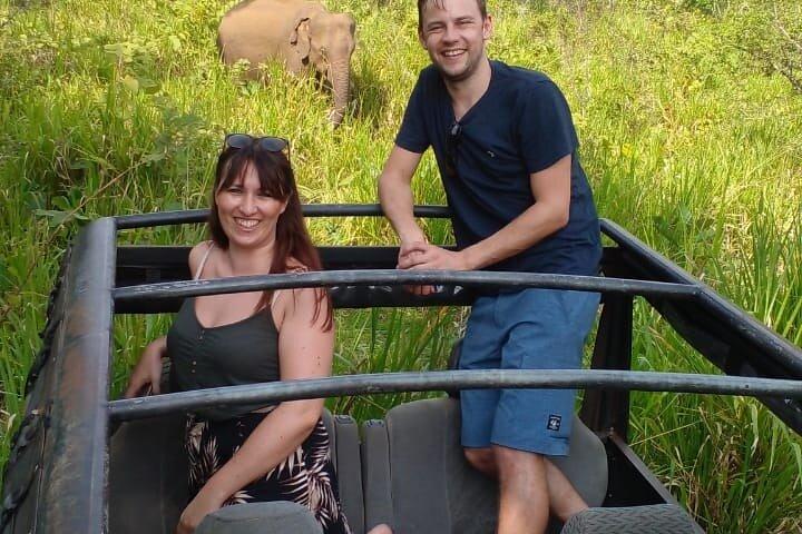 Minneriya luksus jeep safari