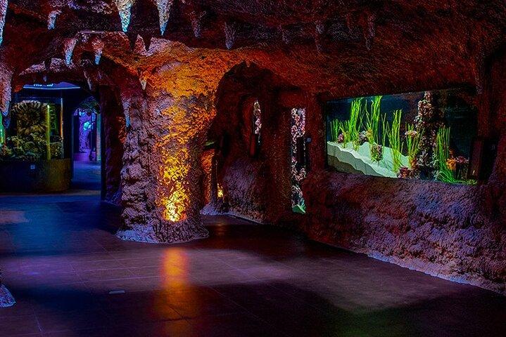 Billets d'entrée à l'Aquarium national d'Abu Dhabi