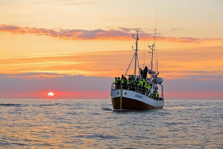 Hvaler og lundefugle Tour fra Husavik