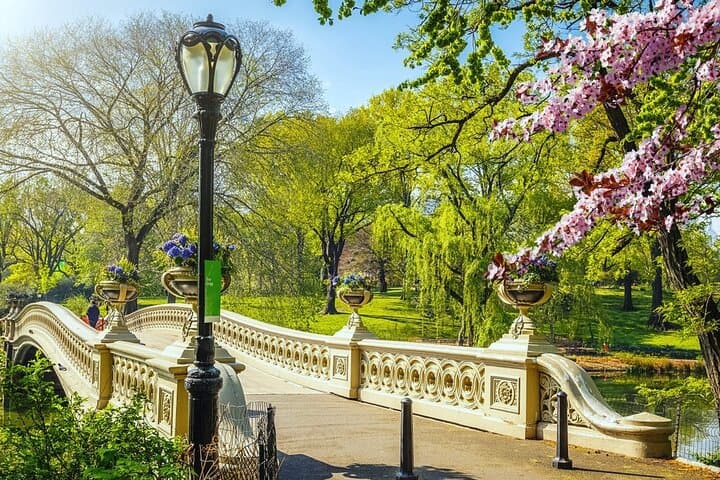 Private New York City Walking Tour: Central Park History and Hidden Secrets