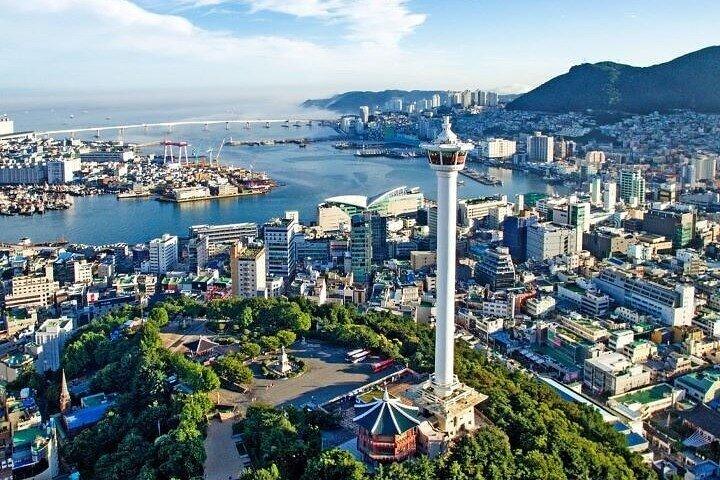 Tour personalizado de 4 días por Busan, Gyeongju y el Jardín Botánico de Oedo