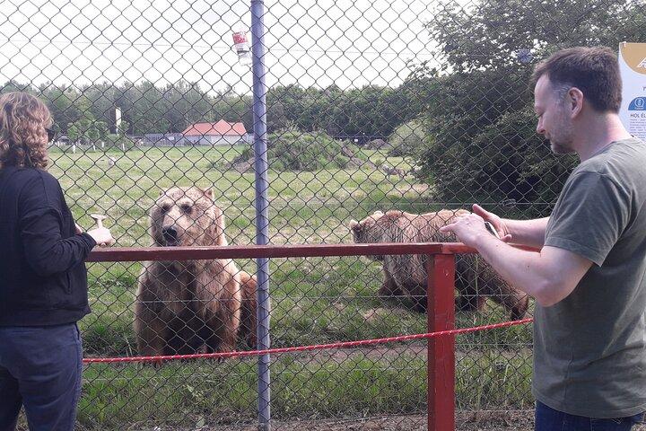 Visite d'un sanctuaire d'ours et de loups
