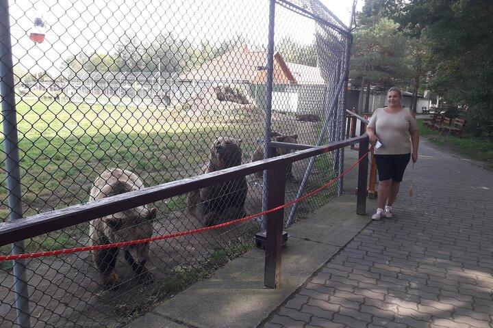 Visite d'un sanctuaire d'ours et de loups
