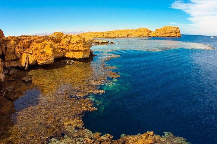 Ras Mohammed by Car One Day Tour da Dahab