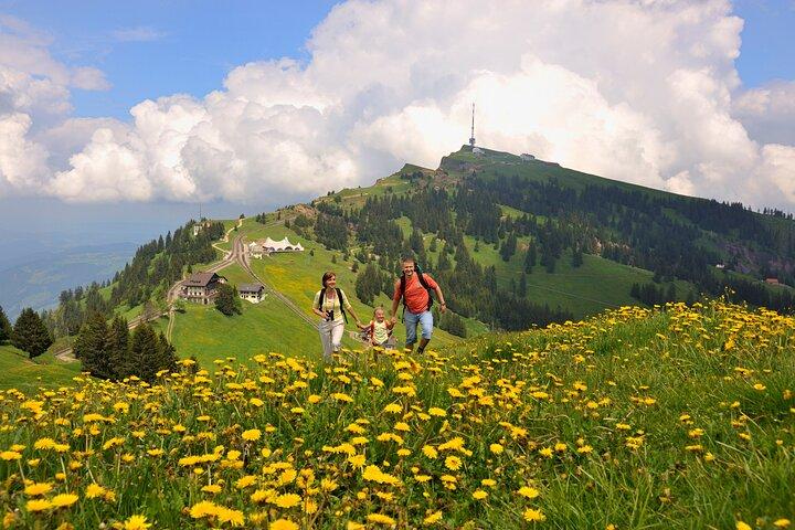 Excursion d'une journée au Mont Rigi au départ de Lucerne