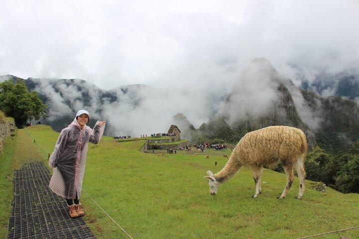 Short Inca Trail Trek to Machu Picchu | 2 Days 1 Night from Cusco