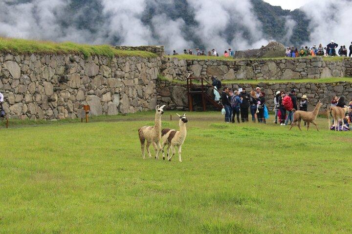Short Inca Trail Trek to Machu Picchu | 2 Days 1 Night from Cusco