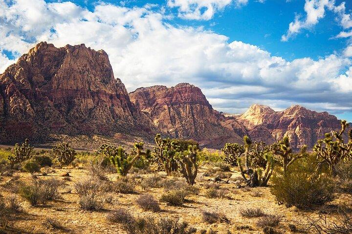 Deserto della California, Red Rock Views e sette montagne magiche