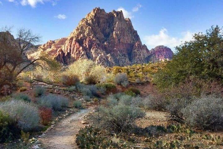 Desierto de California, vistas a la Roca Roja y Siete Montañas Mágicas