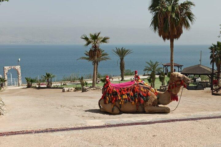 Bethlehem & The Dead Sea Full Day Tour from Jerusalem