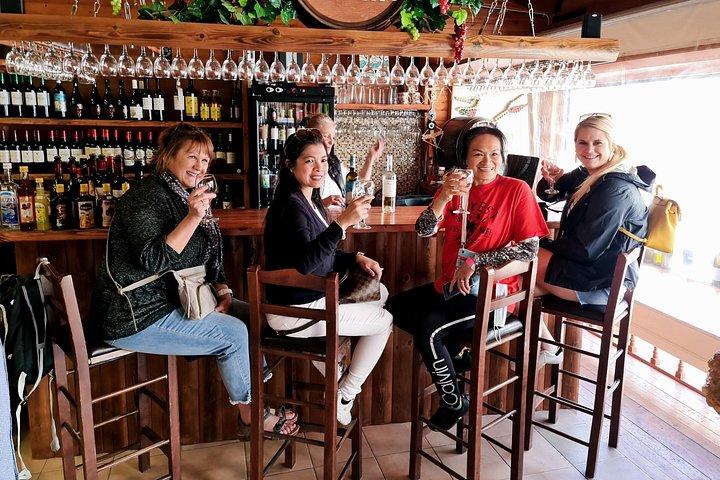 プライベート・ローデス・アドベンチャー: 1日で巡る人気スポットと隠れた逸品