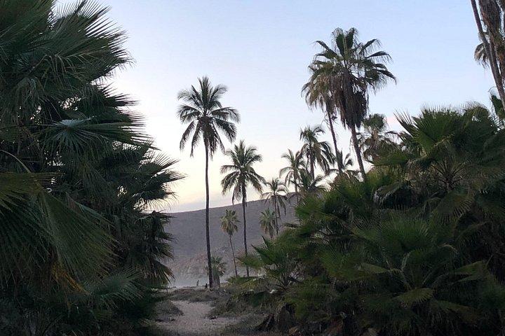 Visite a Cidade Mágica de Todos Santos