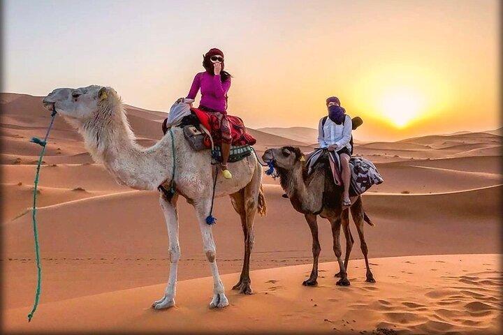 4-Day Private Sahara Desert Tour: 3 to 5 star accommodations