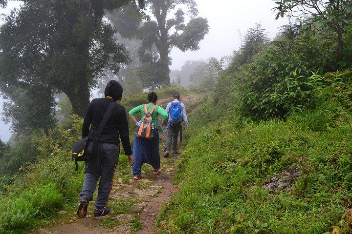 Darjeeling Tonglu Day Trek