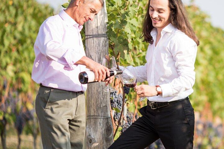 Piemont Winery Tour: Probieren Sie Barolo, Barbaresco & traditionelle Speisen