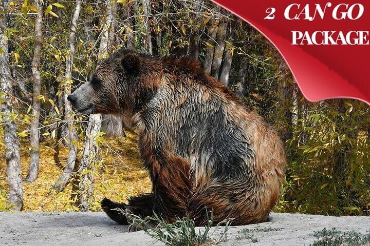 Yellowstone, Grand Teton og Hot Springs: Lille gruppe 5-dages tur