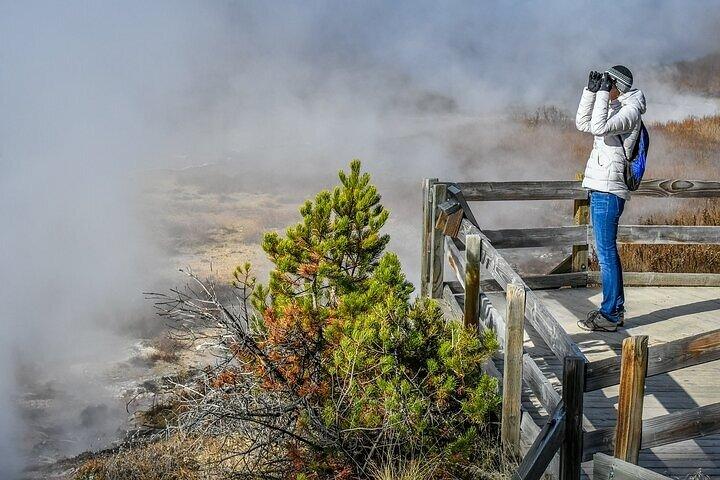 Yellowstone & Grand Teton National Parks Winter Tour: Small Group 4-day Tour