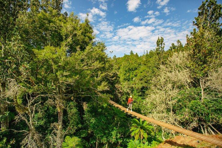Rotorua Ziplines - Zipline över vattenfall - Gratis bastu
