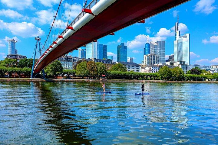 Passeio de bicicleta pelas principais atrações e natureza de Frankfurt com um guia