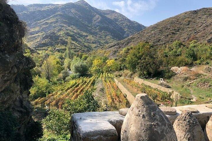 kakheti Boutique Wine Tour - 3 cantine e pranzo
