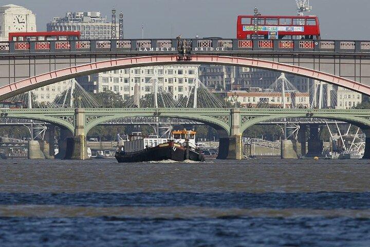 ハリー ポッター ブラック タクシーによるロンドンのプライベート ツアー (ホテルへのお迎え付き)