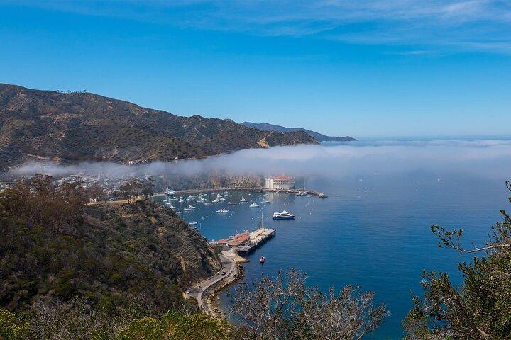 Catalina Island 2 - Visite d'aventure à l'intérieur d'une heure