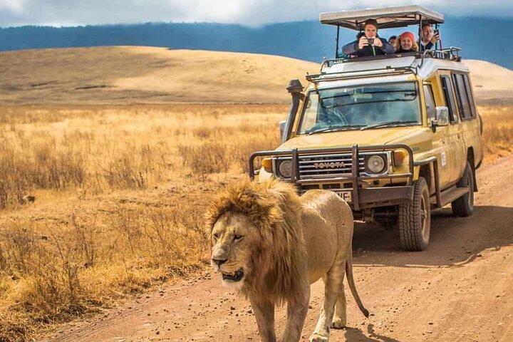 Safari privado de 7 días en Tanzania