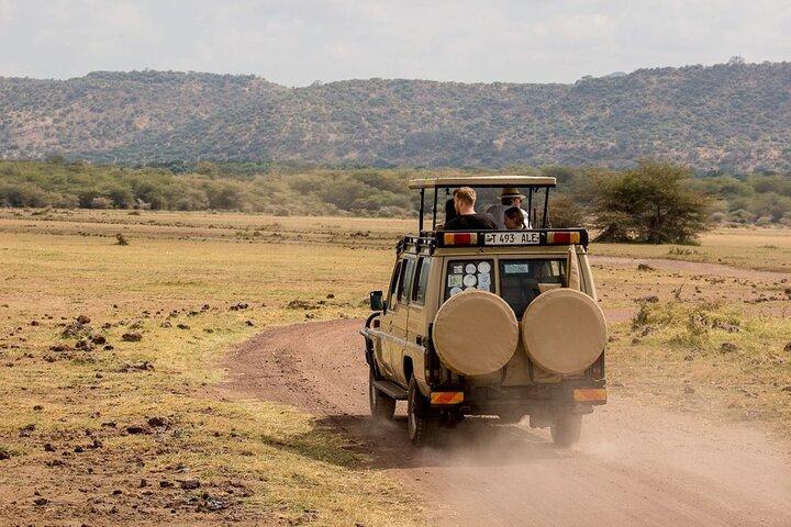 7 dagars privat Tanzania Safari
