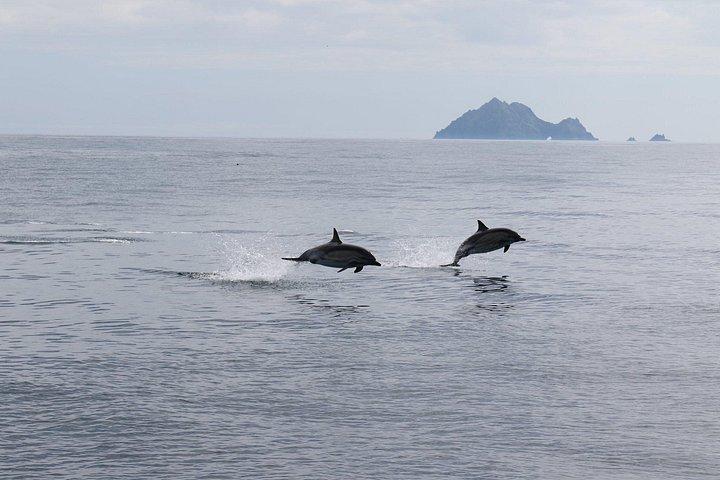 La grande esperienza di Blasket Island - Tour Premium