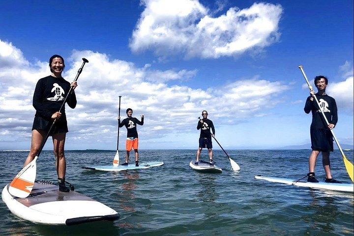 キヘイのカラマビーチでのプライベートスタンドアップパドルボーディング(SUP)クラス