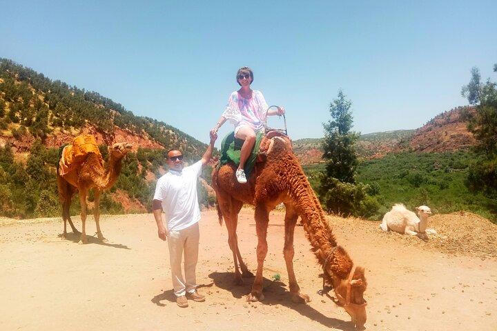 Eksklusiv privat Atlas Mountains tur: