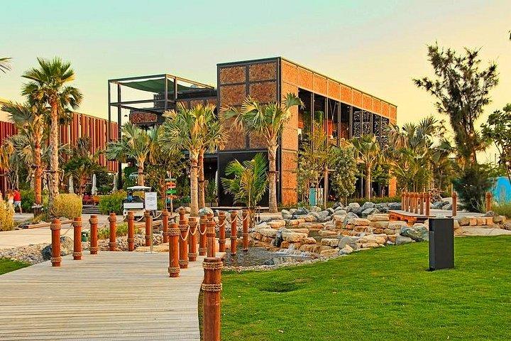 Shared La Mer Beachfront Tour in Dubai