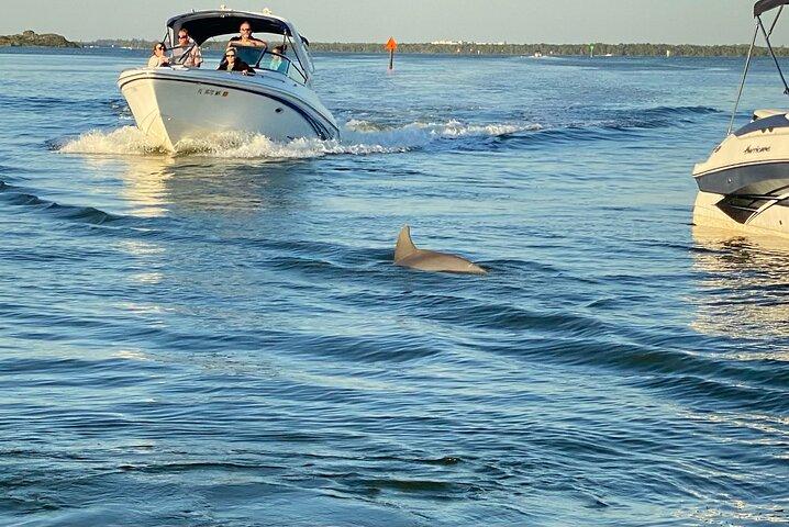 Private Delfin Bootfahrt