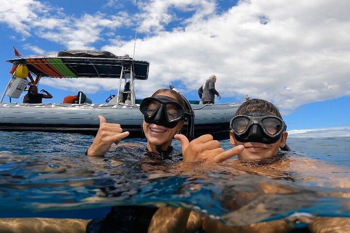 Eco-Raft di Maui: Turtle Snorkel + Whale Watch Tour (*New 2n1 )