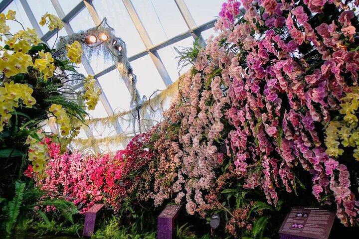Gardens by the Bay E-Tickets: Cúpula das Flores + Cloud Forest