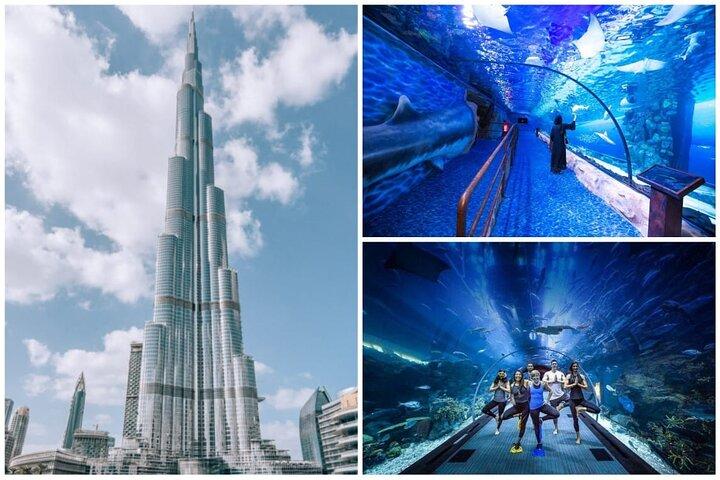 Burj Khalifa, Dubai Aquarium e UWZ com ingressos para Penguin Cove