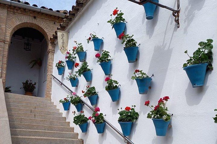 Córdoba, Mosque-Cathedral, Jewry and Patios