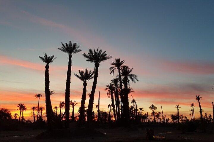 Sunset Camel Ride in Agadir With Hotel Pick up and Drop off