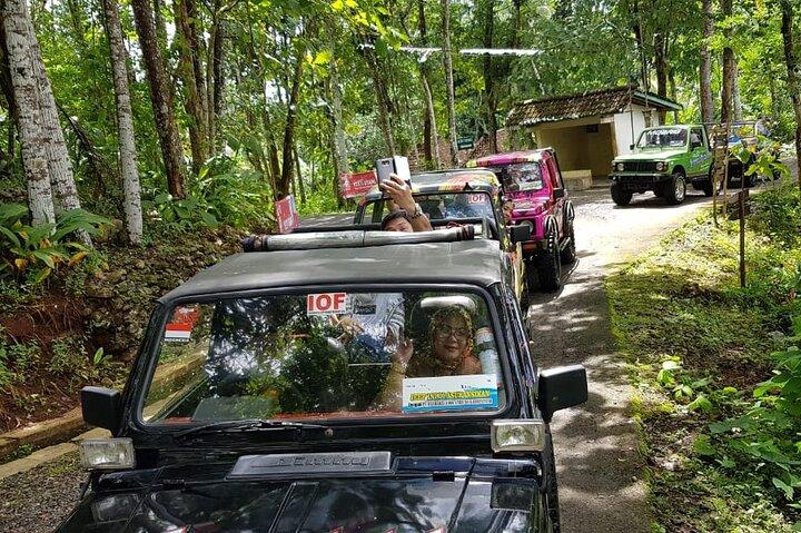 Solo City Transport service