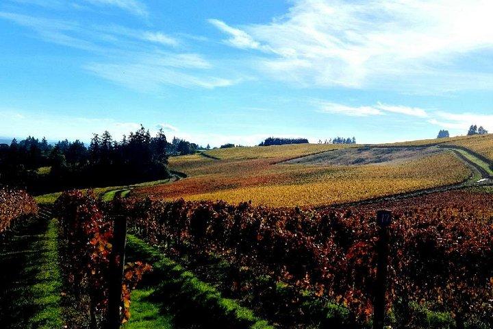 Willamette Valley Weintour mit Mittagessen