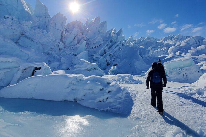 Heldags Matanuska Glacier Smågruppeudflugt