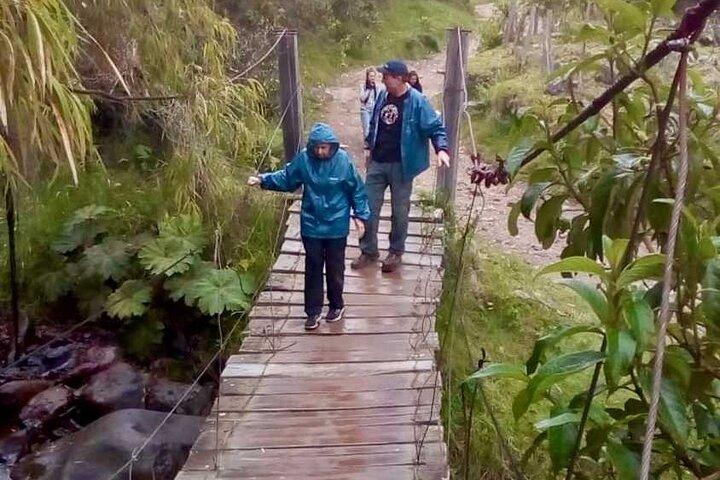 Hiking Acaime – Cocora Valley Private Full Day