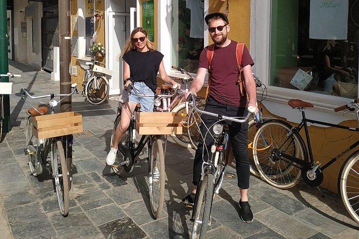 マラガのビンテージ スタイルの自転車レンタル