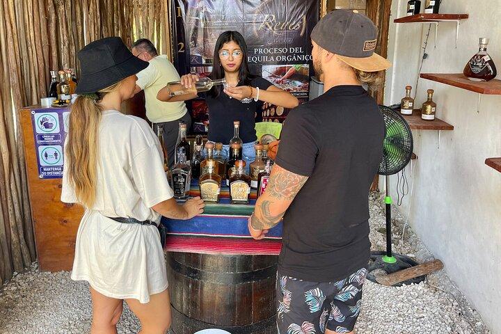 Alt inklusiv! Tulum-ruiner, tequilasmagning + svøm i 3 cenoter i lille gruppe!