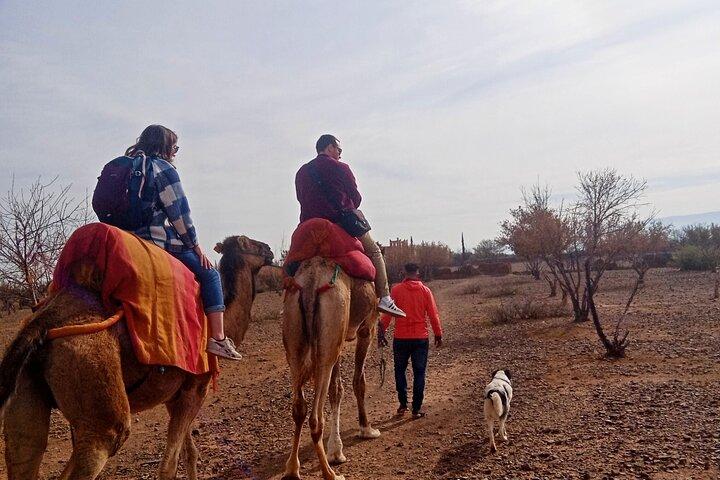 Marrakech Three Valleys and Atlas Mountains with Waterfall Full-Day Trip